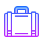 Icons8 Luggage 64